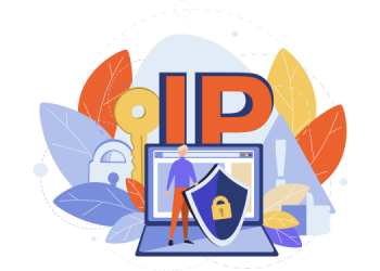 IP Nedir?